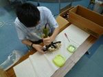 物品・役務の画像