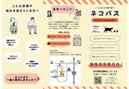 ピンク　黄　三つ折りパンフレット　習い事の