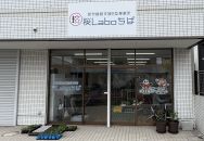 kimg-01-sakulabo-chiba
